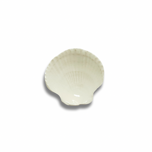 Sea Shell Trinket Dish